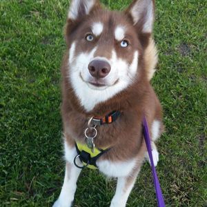 Meet your Posher, Jill